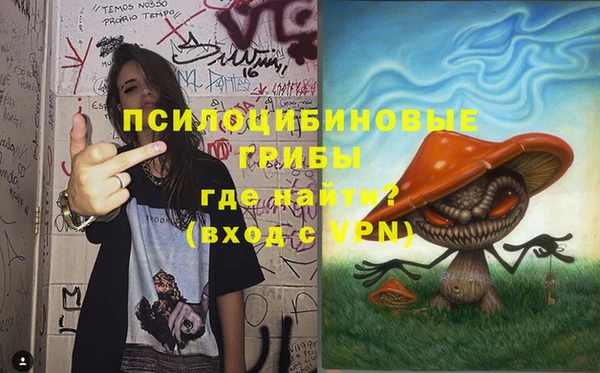 мдпв Лабытнанги