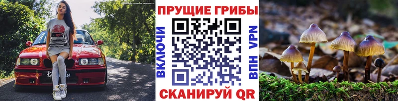 Псилоцибиновые грибы мухоморы  Ростов 